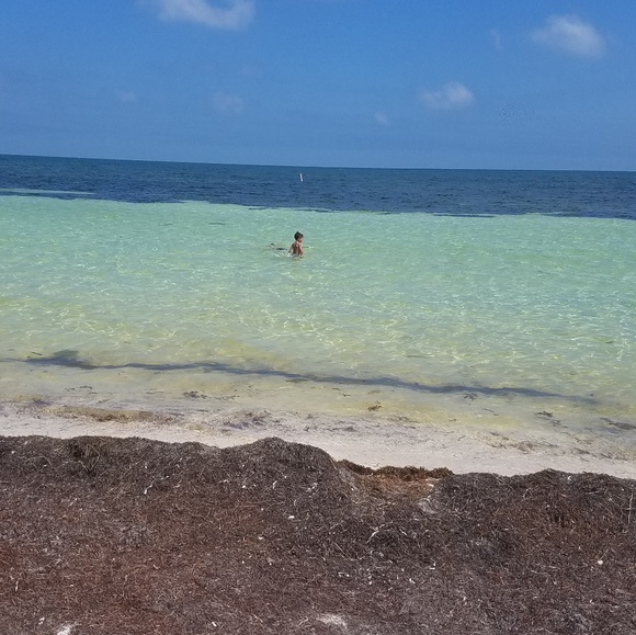 About Me - Picture 1 of 1